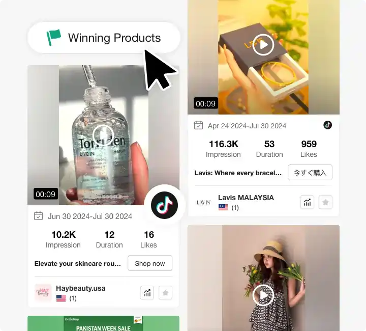 Pipiads- Winning Tiktok Creative Strategies