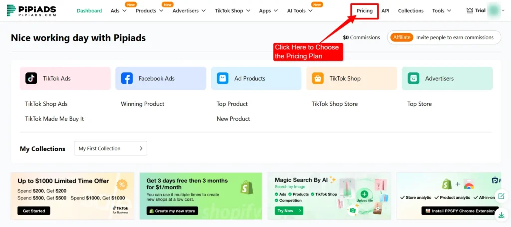 Pipiads Pricing tab on the menu bar